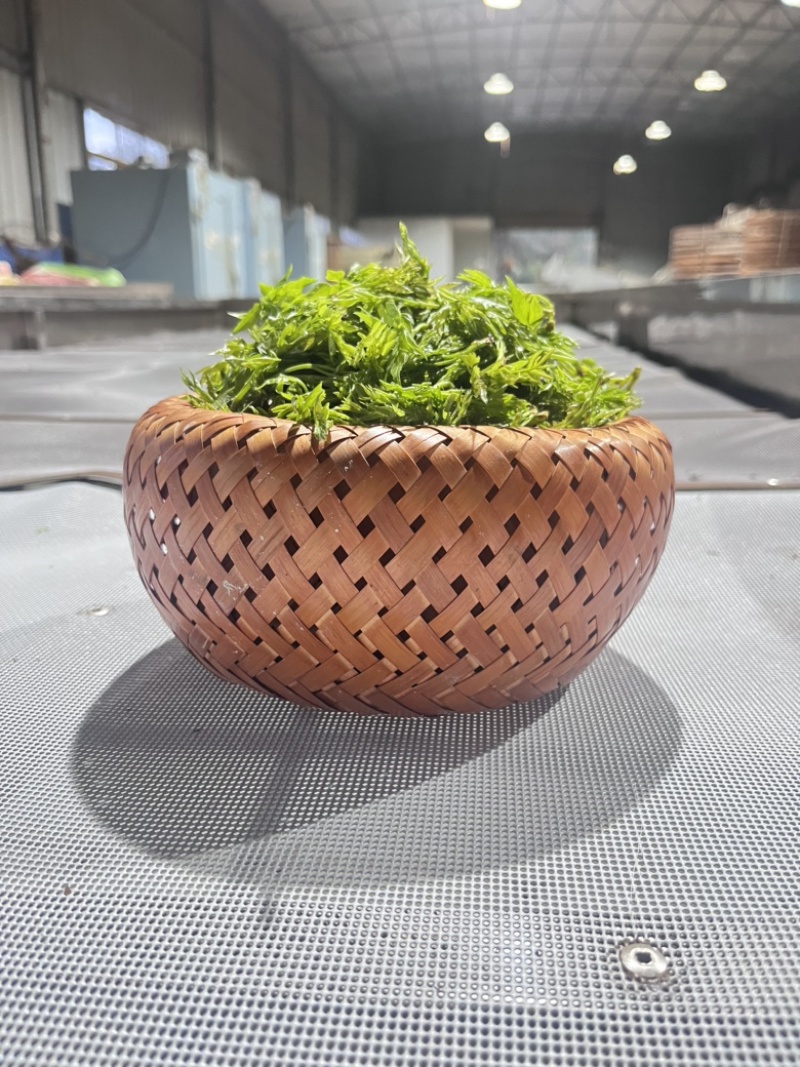 来凤藤茶