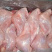 新鲜兔腿【前后腿规格齐全】厂家直销，大量有货
