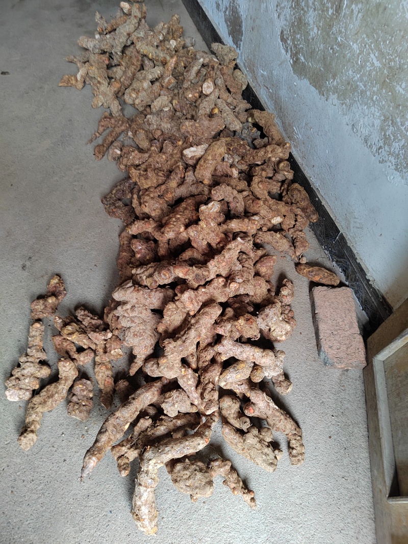 广西桂林全州县野生白肉粉质土茯苓，煲汤手选食材，一手货源