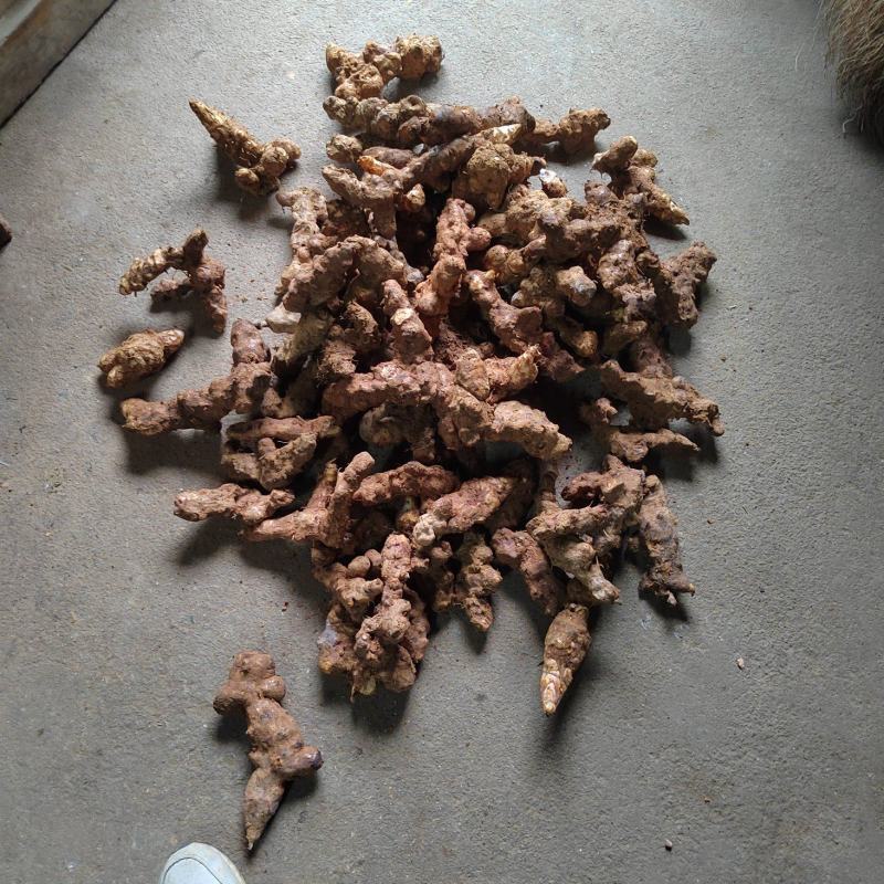 广西桂林全州县野生白肉粉质土茯苓，煲汤手选食材，一手货源