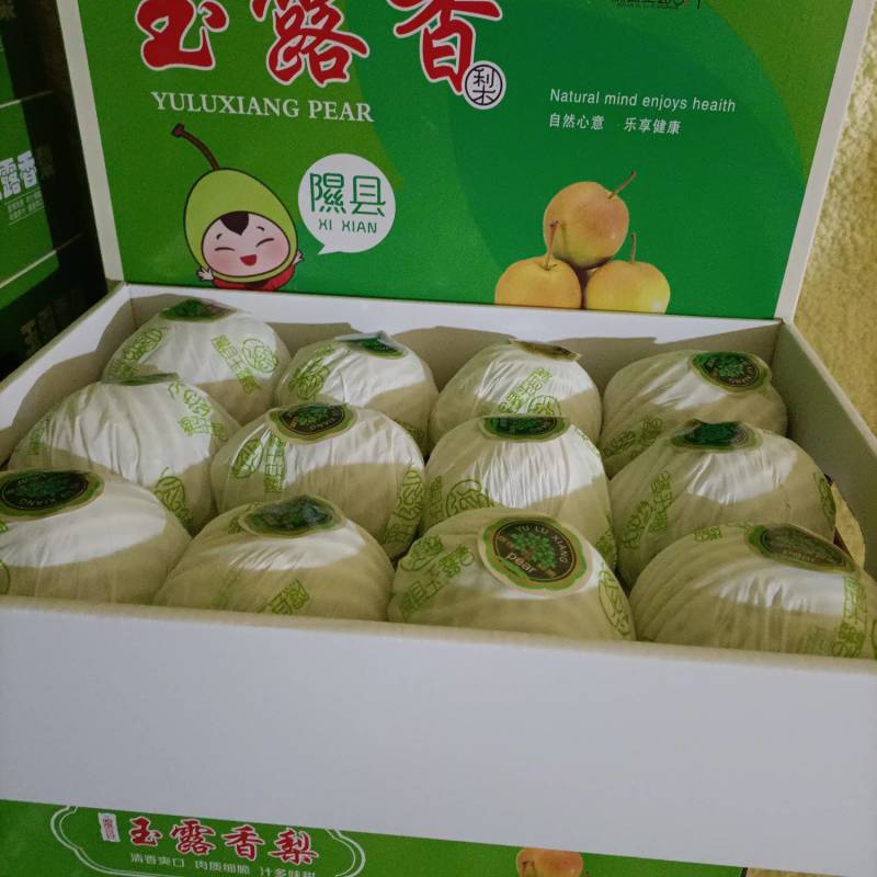 玉露香梨盒装