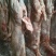 烤全羊