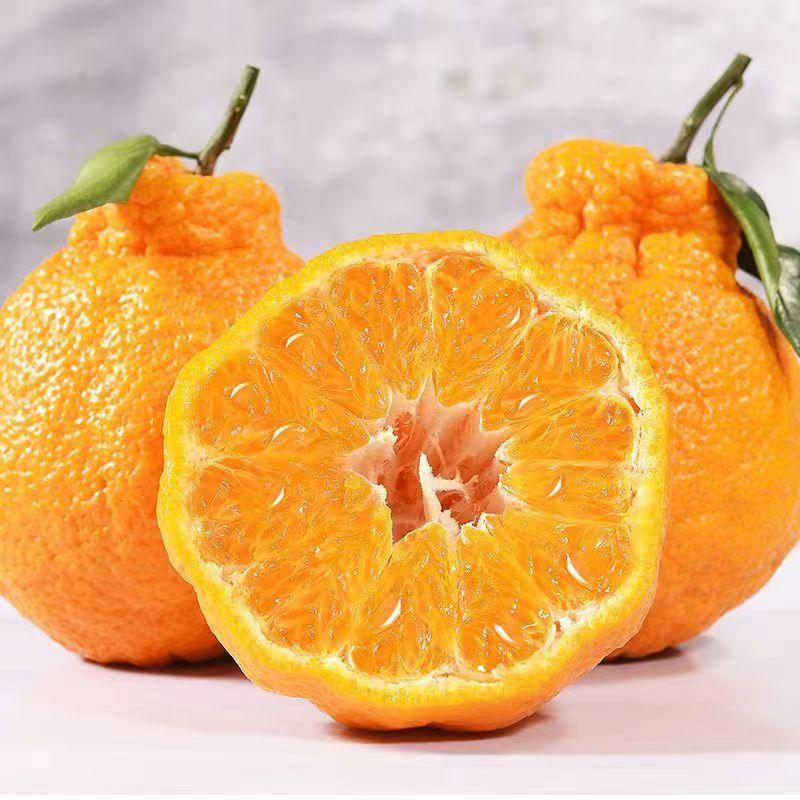 丑橘大量现货，口感纯甜入口化渣需要的老板联系！