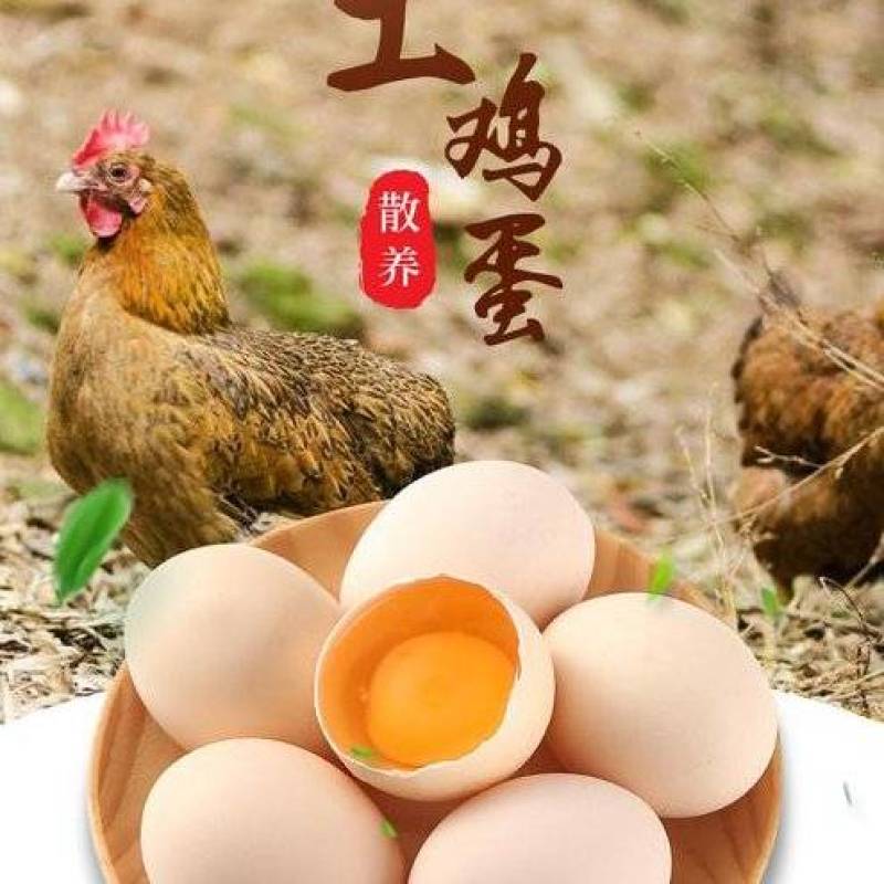 蓟县农村土鸡蛋假一赔十