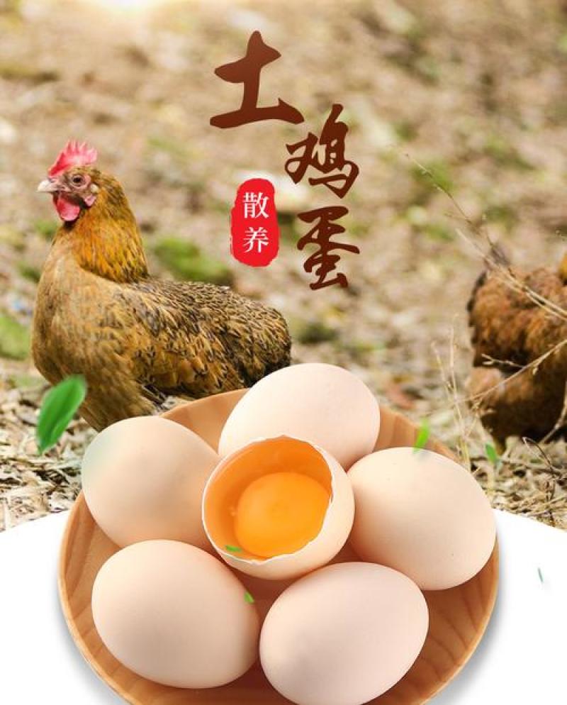 蓟县农村土鸡蛋假一赔十