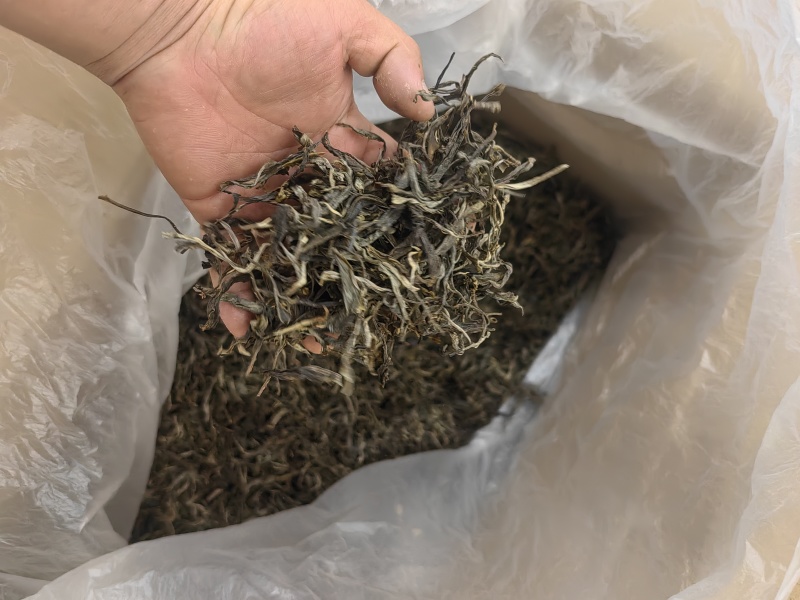云南省临沧市忙洪乡户南土司贡茶