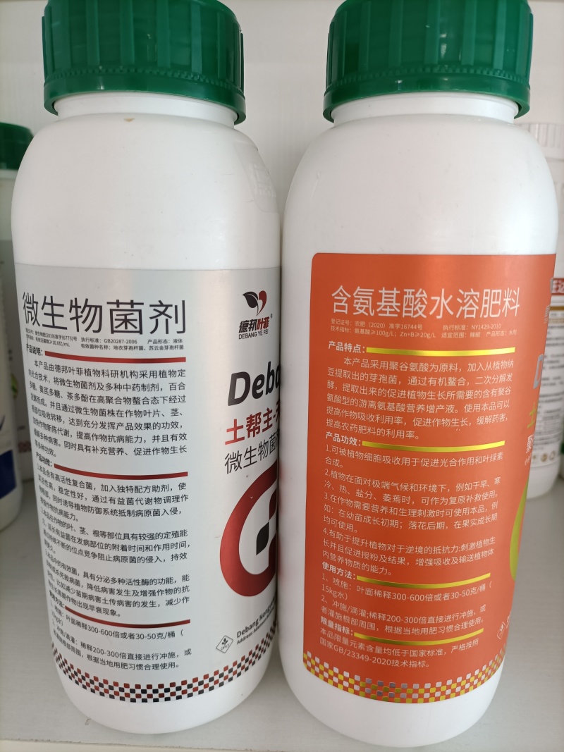 土帮主1号2号