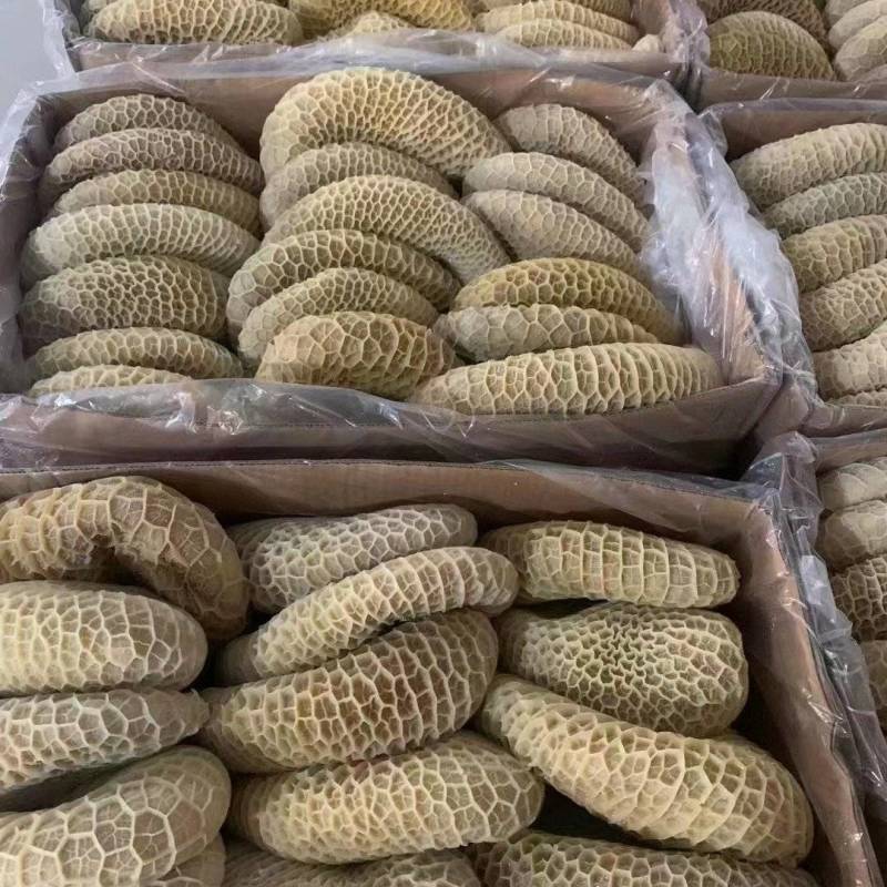 金钱肚