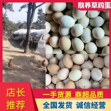 【推荐】蒙山农家散养草鸡蛋一手货源供应市场商超电商