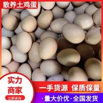 【推荐】山东土鸡蛋供应市场商超电商量大价优欢迎电联