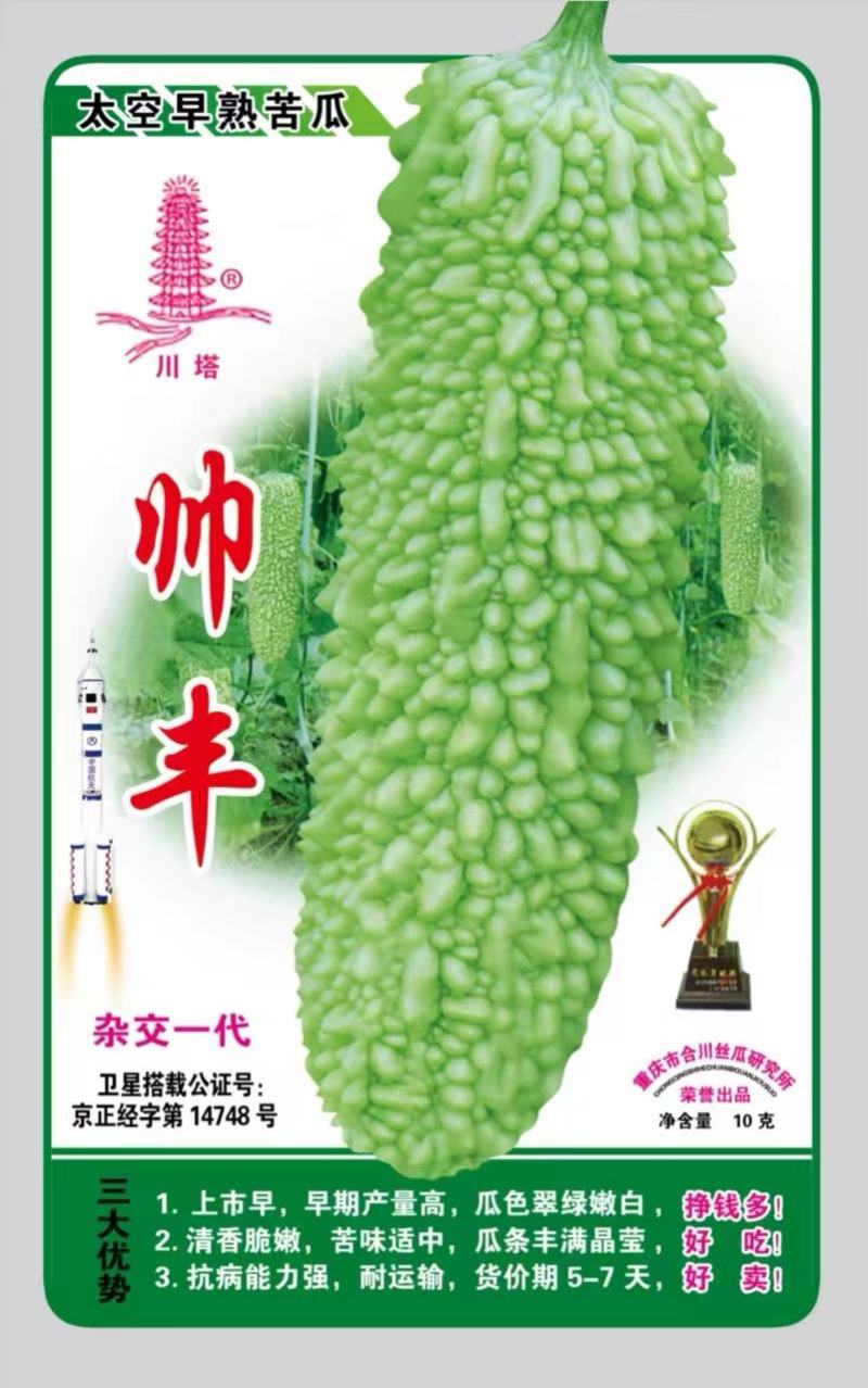 苦瓜嫁接苗帅丰苦瓜苗大刺瘤绿白色高产苦瓜品种品质好