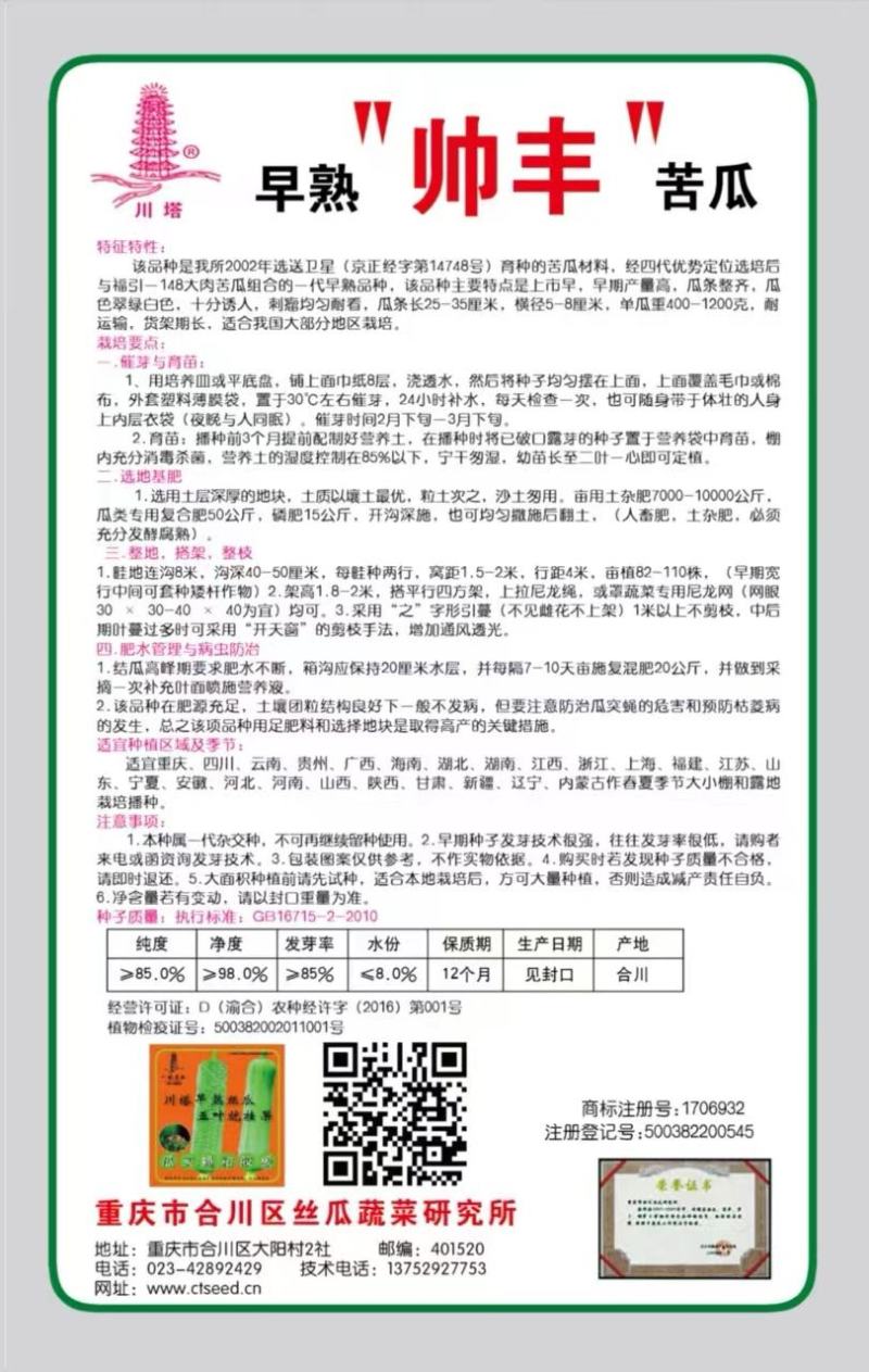 苦瓜嫁接苗帅丰苦瓜苗大刺瘤绿白色高产苦瓜品种品质好