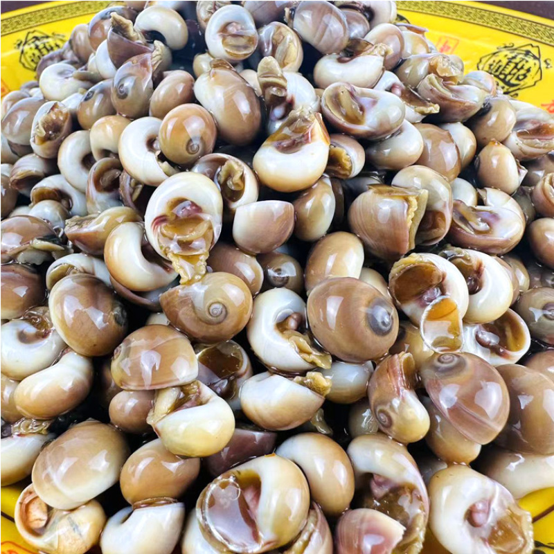 麻辣香螺批发，捞汁小海鲜批发，一袋起发，三袋包邮，全国发