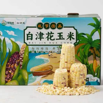 昌江真空花糯玉米，四季种植，一手货源品质保证