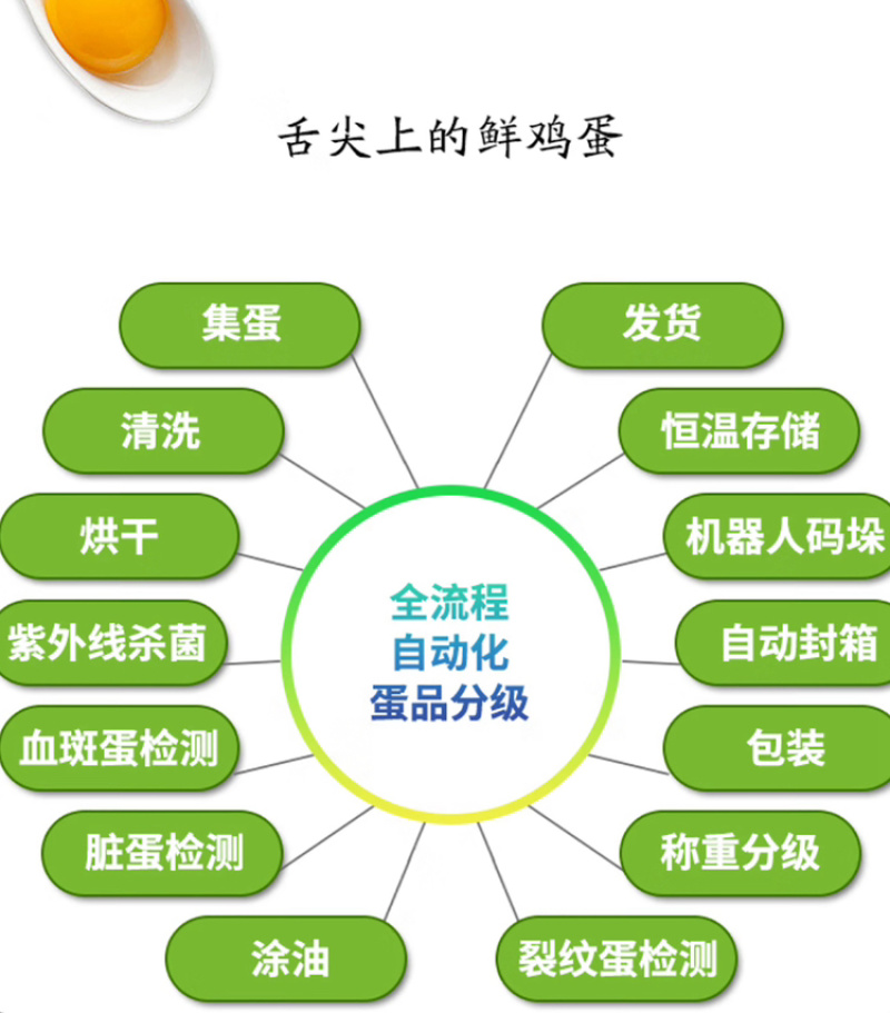 精品粉蛋-41码，品质可保证，量大有优惠