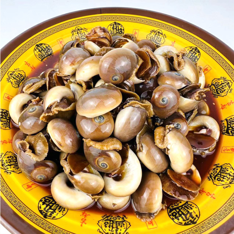 捞汁猫眼螺批发，成品捞汁小海鲜批发，一袋也是批发价，全国