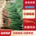 [蒜苗]红根蒜苗各种规格对接商超市场电商欢迎来电采