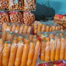优质胡萝卜长期有货，基地一手货源，全国发货，有需要联系。