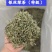 精品茶叶银丝及特级绿茶货源充足量大从优质量保证欢迎咨询