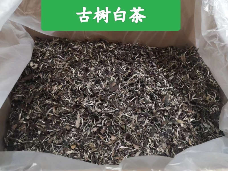 精品白茶古树白茶货源充足量大从优质量保证欢迎咨询