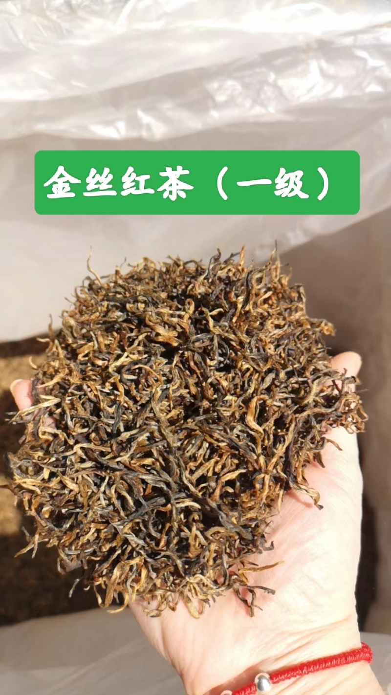 精品红茶金丝红茶货源充足量大从优质量保证欢迎咨询