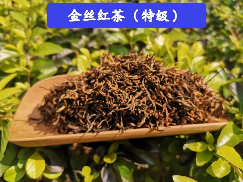 精品红茶金丝红茶货源充足量大从优质量保证欢迎咨询