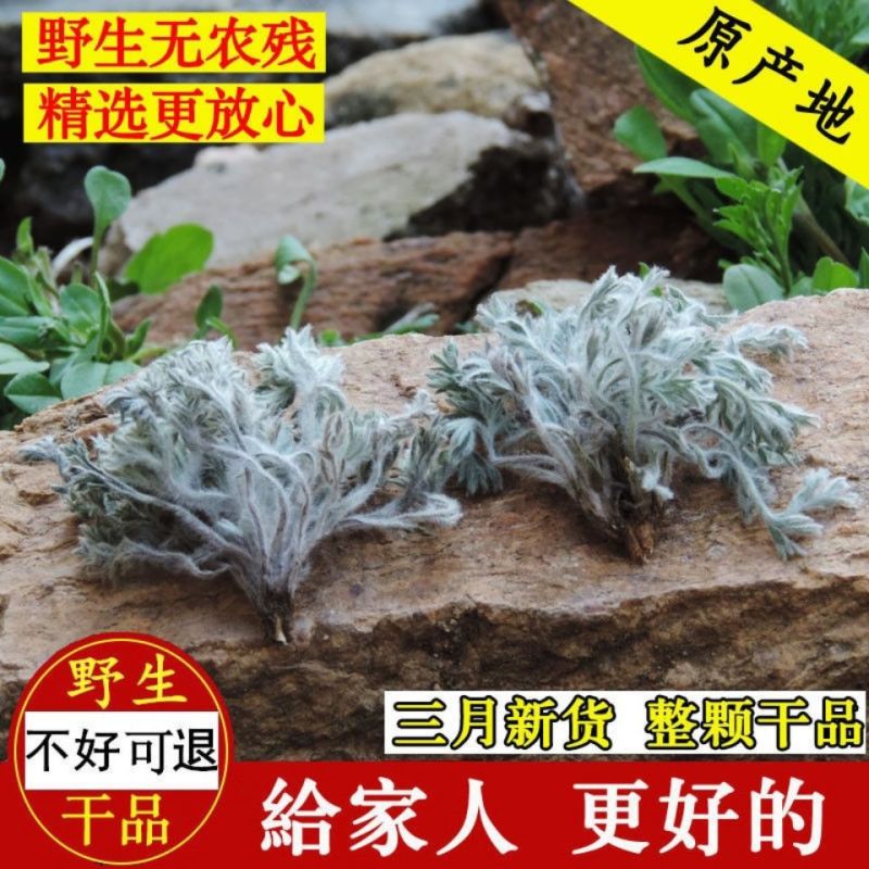 茵陈野生白蒿陕西当季新鲜野菜自然晾晒类干货整件包邮