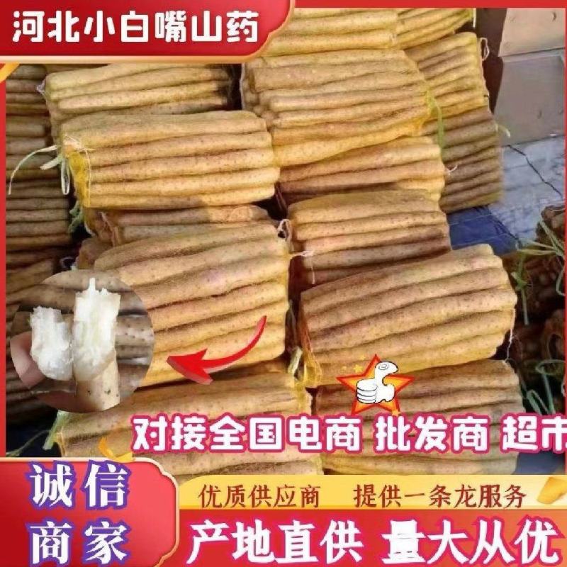 小白嘴山药产地直供，对接全国各大批发市场超市，电商团购。