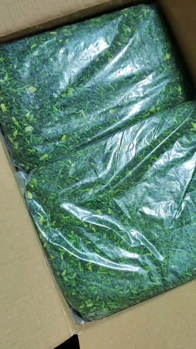精品荠菜馅