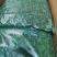 精品荠菜馅