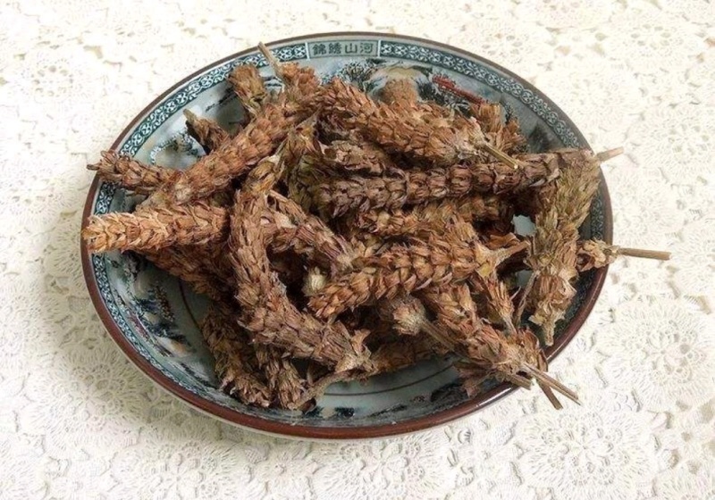 夏枯草种子精选夏枯草籽简单易活好管理【包邮】