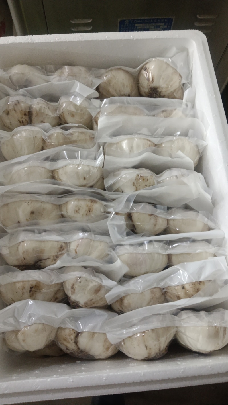 兰州甜大小两头大小三头大小四头12头各种规格饭店商务批发