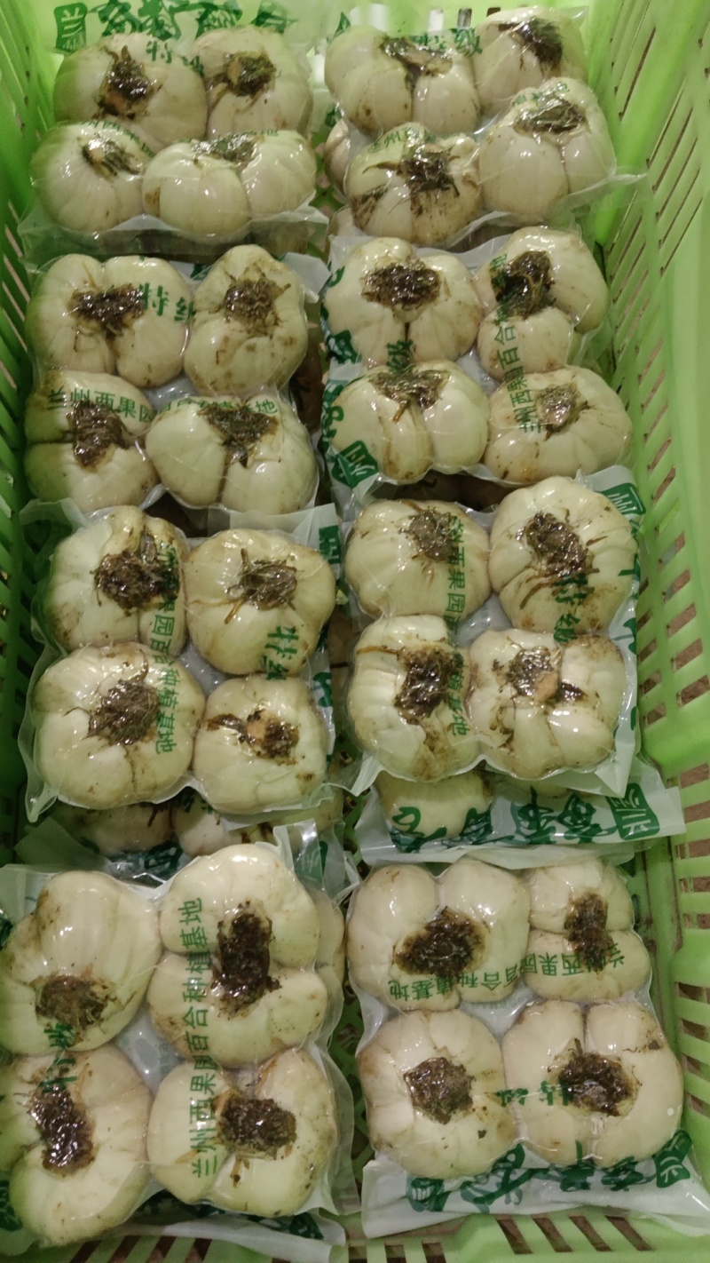 兰州甜大小两头大小三头大小四头12头各种规格饭店商务批发