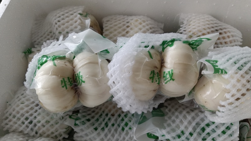 兰州甜大小两头大小三头大小四头12头各种规格饭店商务批发