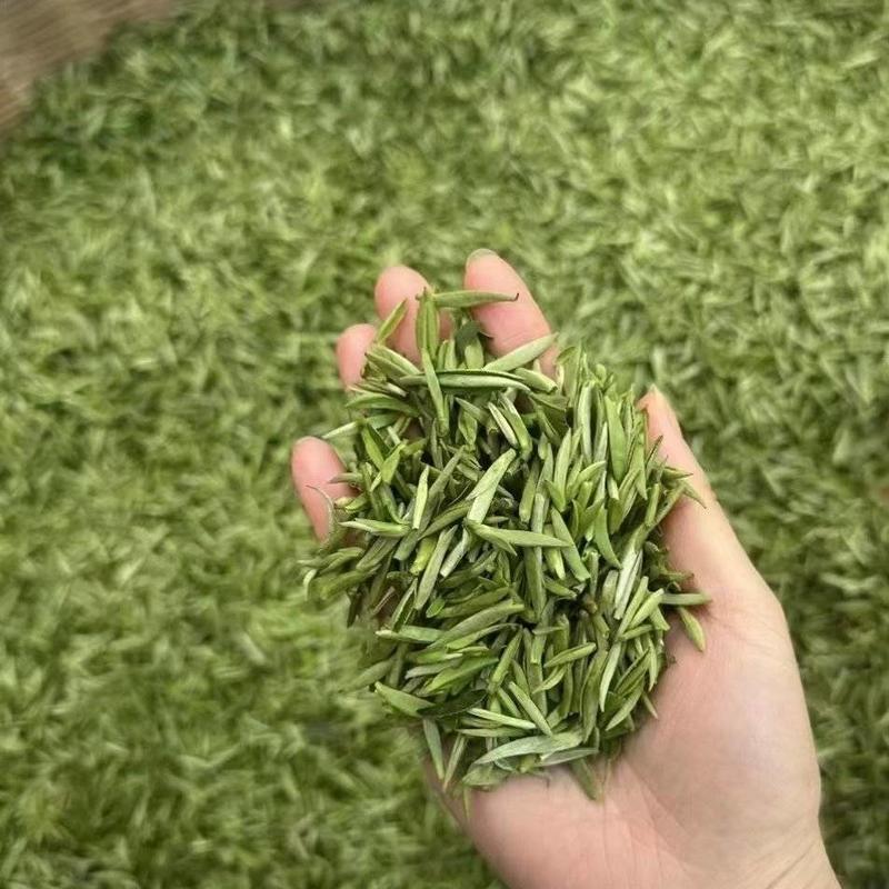 绿茶浙江高山绿茶大量上市口感醇甘甜茶香浓郁保质量