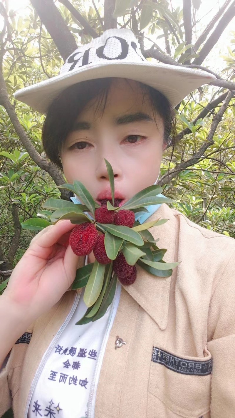 杨梅精品东魁杨梅清甜多汁核小肉厚颗粒大物美价廉