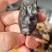 阿拉善彩玉玛瑙量大优惠顺丰包邮可视频选货可单选