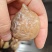 阿拉善彩玉玛瑙量大优惠顺丰包邮可视频选货可单选