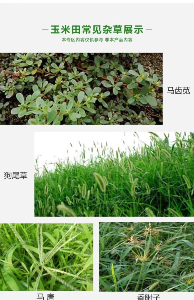 36%硝烟莠去津杂草禾本科阔叶类草玉米田苗后专用除草剂