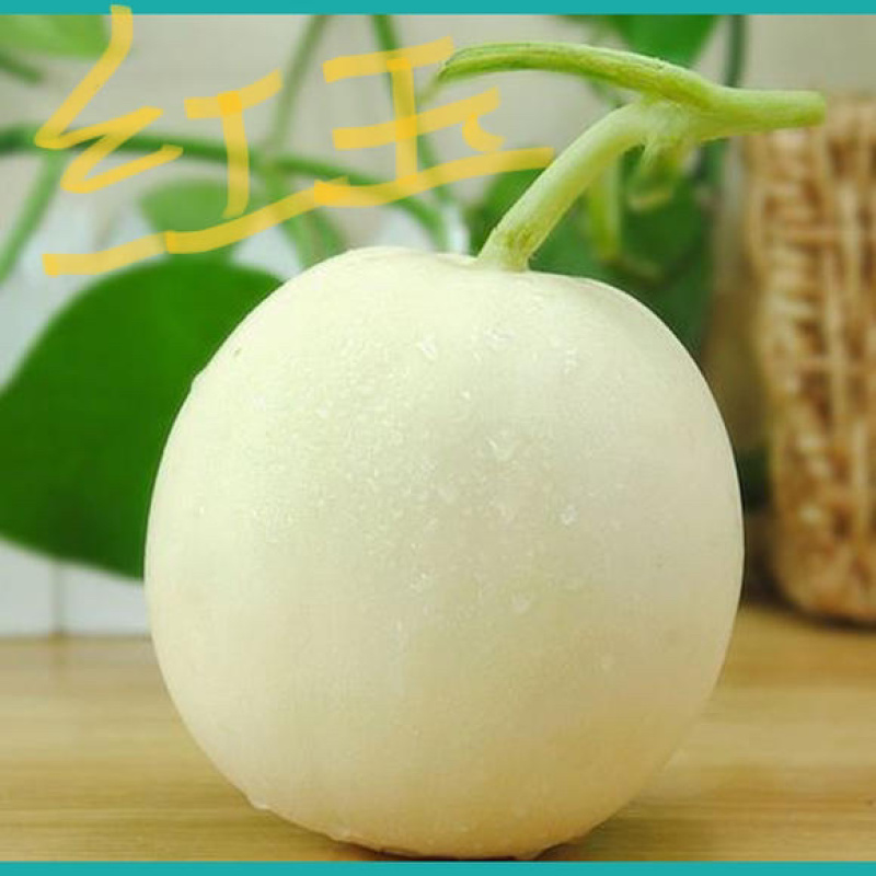 老家万亩甜瓜🍈大量供应：电商，市场，大型商超……