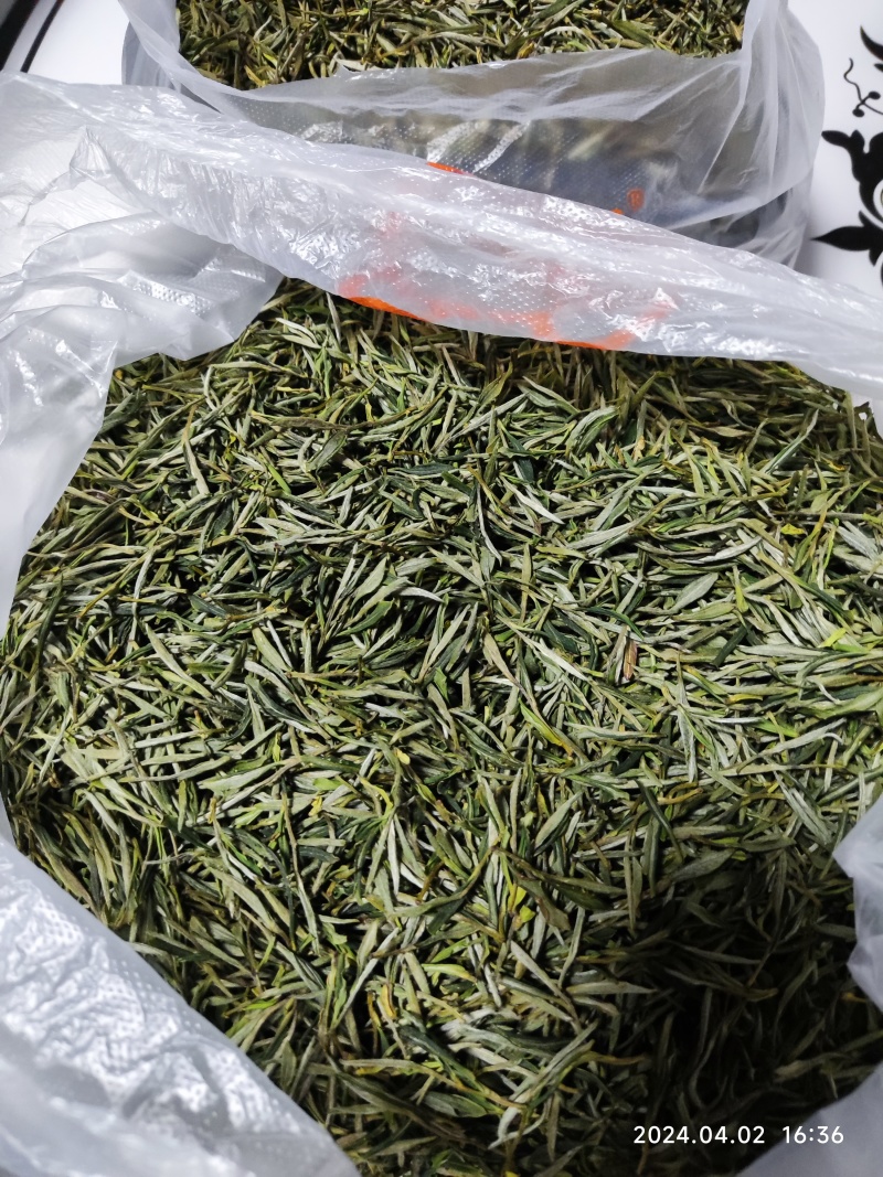 祁门绿茶