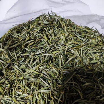 祁门绿茶