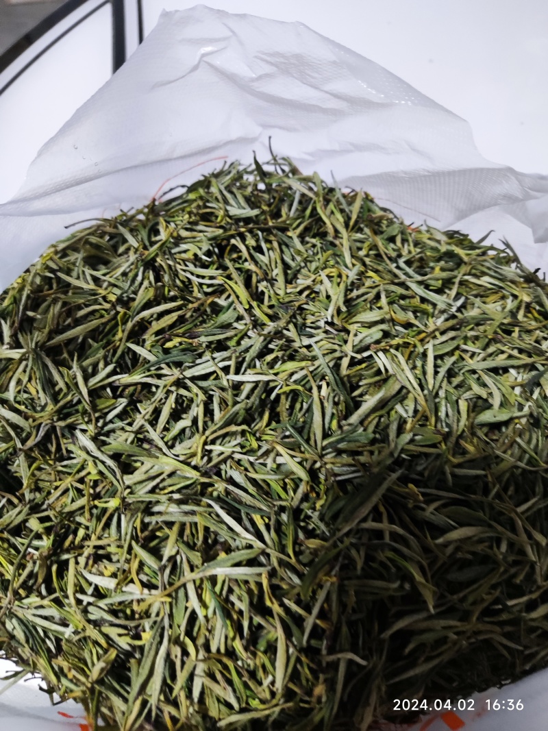 祁门绿茶