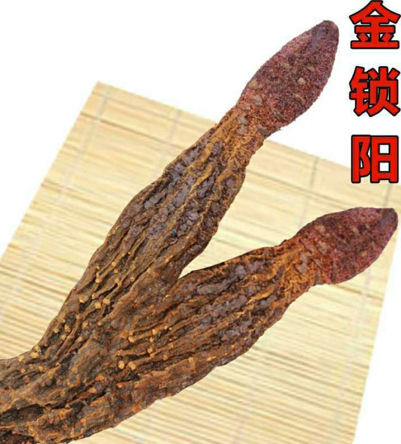 内蒙古野生金锁阳沙漠人参野性猛烈男人泡酒滋补包邮