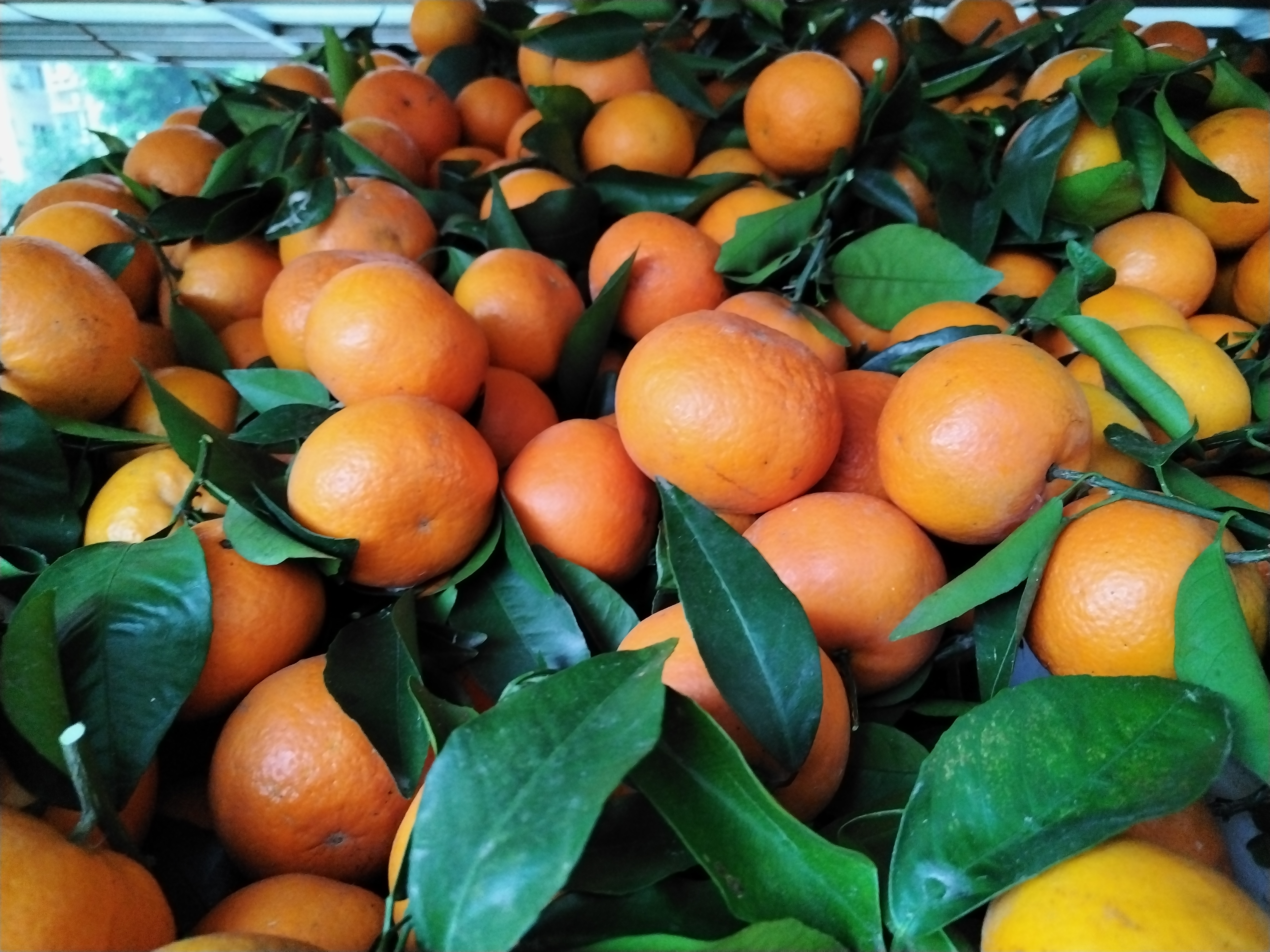 沃柑果汁成品图