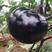 黑圆茄苗黑色圆茄苗子种子紫黑色圆茄茄子苗产量高果型大