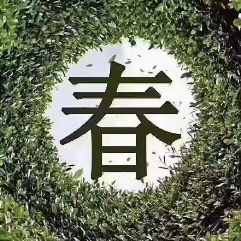 原生态绿茶