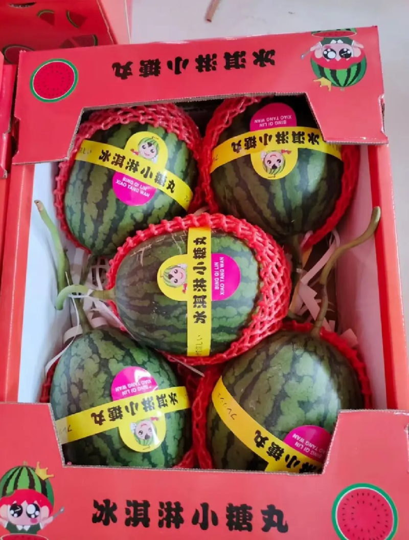 全美2K西瓜冰淇淋小糖丸新民小吊瓜手掰西瓜产地直发