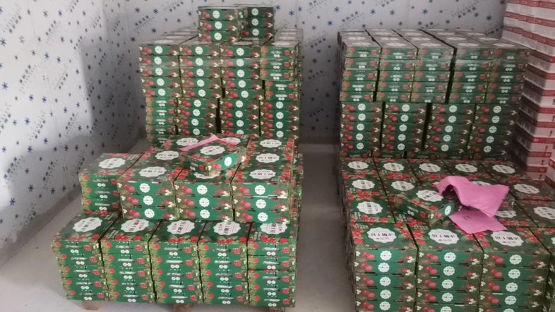 超市冷柜中整齐摆放的透明塑料盒装圣女果,盒子上有标签写着‘有机圣女果’,旁边还有价格牌,展示商品的真实销售场景 超市货架上的圣女果包装盒特写