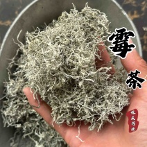 霉茶梅茶藤茶张家界名前芽头嫩芽头实拍